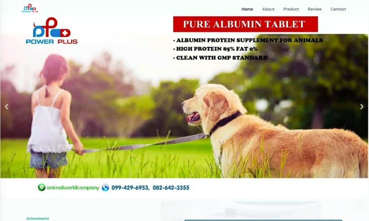 แอนนิมอล เวิล์ด